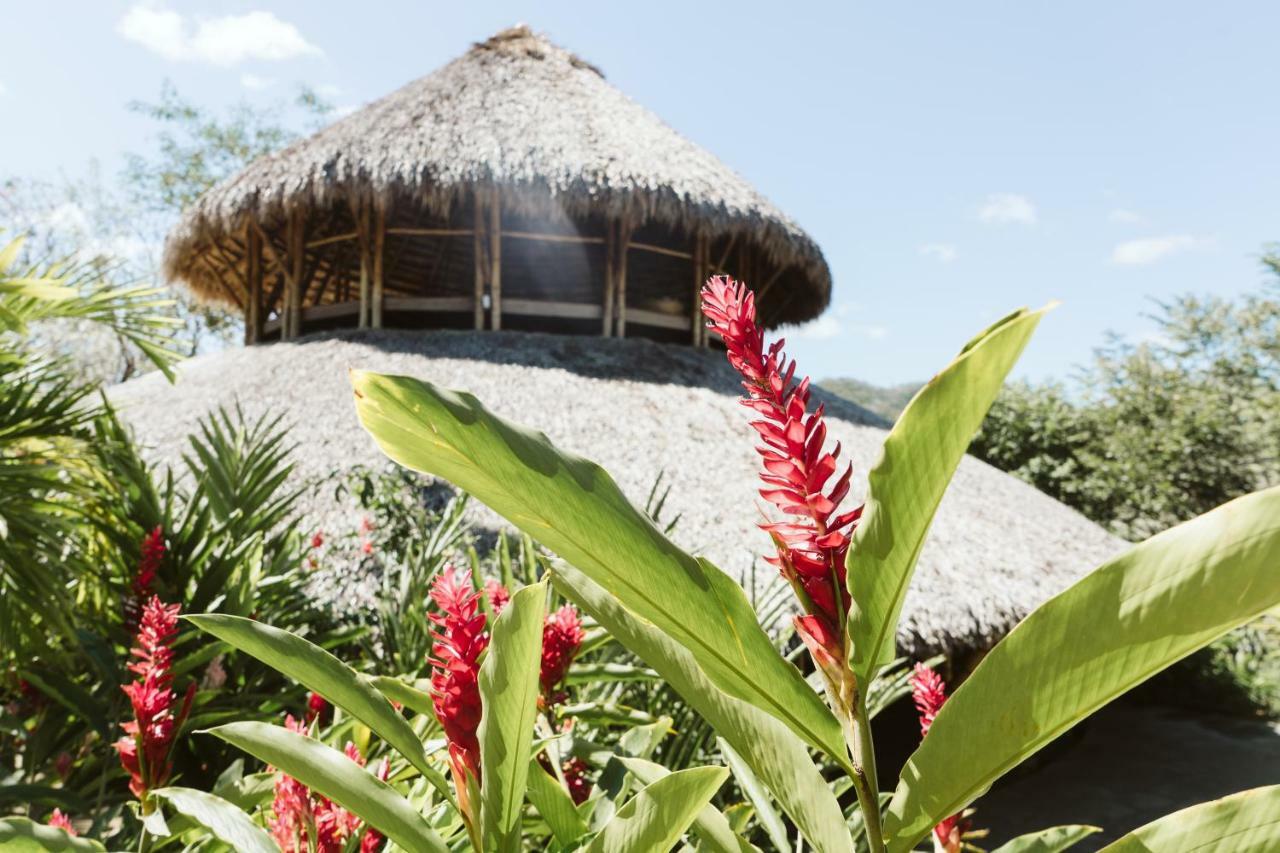 Dreamsea Surf Nicaragua